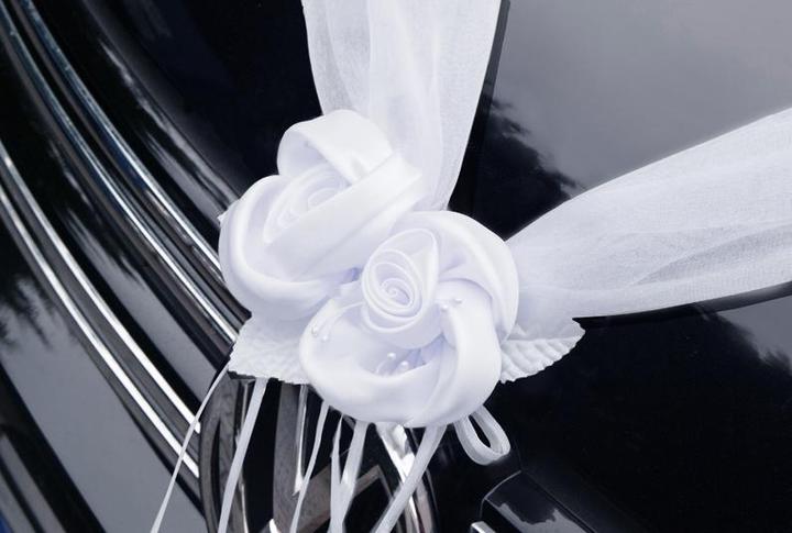 Immagine prodotto Partydeco Accessori per feste Decorazione auto Organza 1,8 m, 2 pezzi, bianco