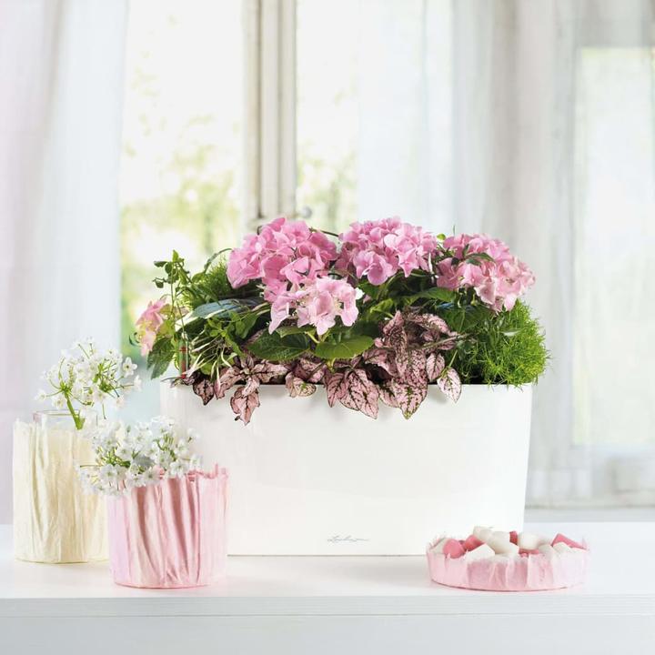 Image du produit Lechuza Delta (15 cm)