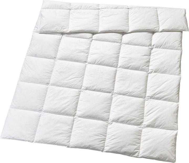 Immagine prodotto Billerbeck Edition Elwine Medio (940 g, 200 x 210 cm)