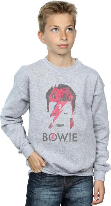Immagine prodotto David Bowie Aladdin Sane Distressed Felpa Ragazzi (152, 158)
