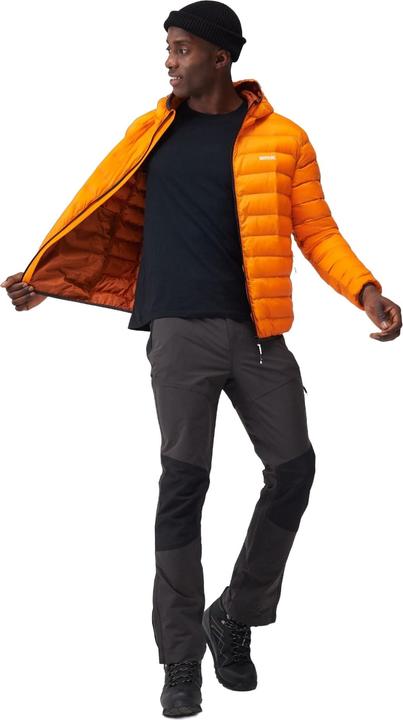 Image du produit Regatta Mens Marizion Baffled Hooded Padded Jacket (veste matelassée à capuche) (S)