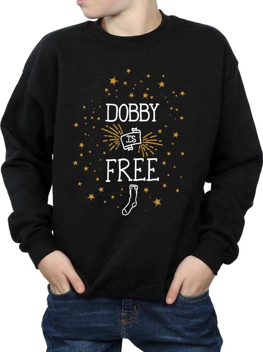 Produktbild Dobby Is Free Sweatshirt Jungen (140, 146)