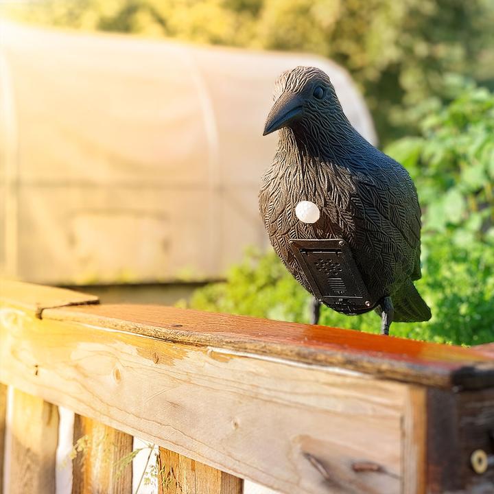 Actual product image Gardigo Crow