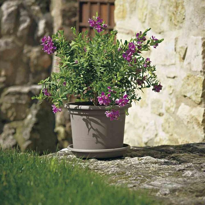 Immagine prodotto Euro3plast Fioriera (25 cm)