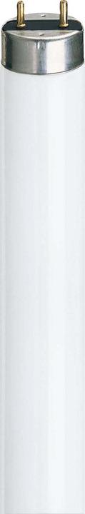 Image du produit Philips Master TL-D Super (G13, 36.60 W, 3100 lm, 1 x, G)