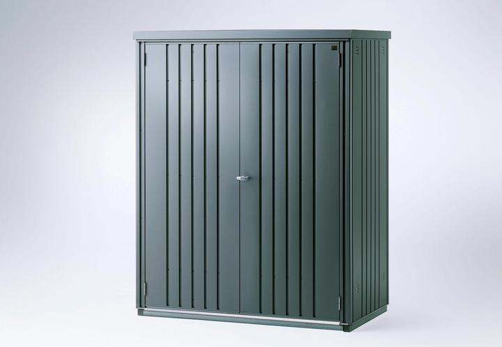 Image du produit Biohort Armoire à outils 150, gris foncé