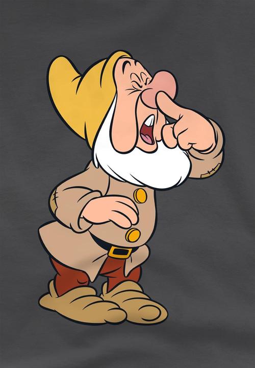Actual product image Snow White Childrens/Kids Sneezy T-Shirt (140)