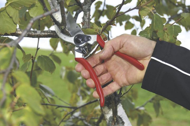 Actual product image Felco 2