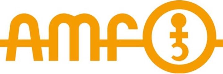 Image du produit Amf Serrure à pêne dormant pour portail en treillis 100 (Cylindre profilé)