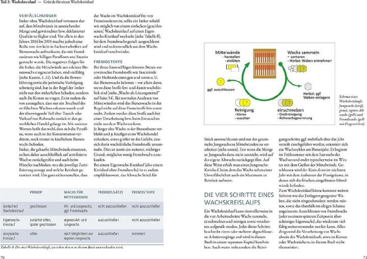 Produktbild Kosmos Bienenwachs und Wachskreislauf (Deutsch, Matthias Schlörholz, 2023)