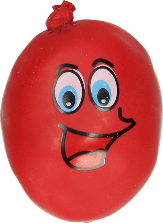 Actual product image Van Manen Veenendaal Stupid face plasticine head