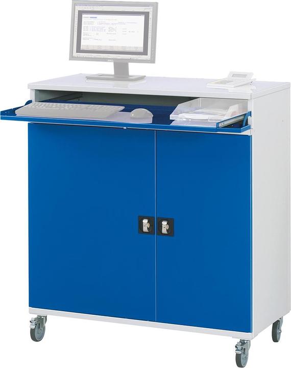 Image du produit RAU Armoire informatique version fixe ou mobile (110 cm, 118.50 cm)