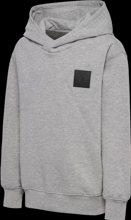 Image du produit hummel hmlCLEAN HOODIE (104)