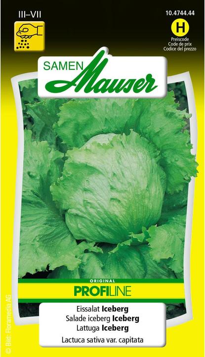 Image du produit Samen Mauser Laitue iceberg Profiline (Graines de légumes)