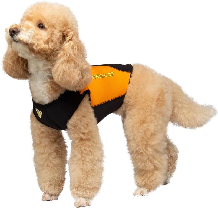 Actual product image Cressi Dog Wetsuit - 3 mm (3, Dog life jacket)