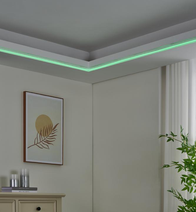 Produktbild EGLO Neon-stripe-z (500 cm, Indoor)