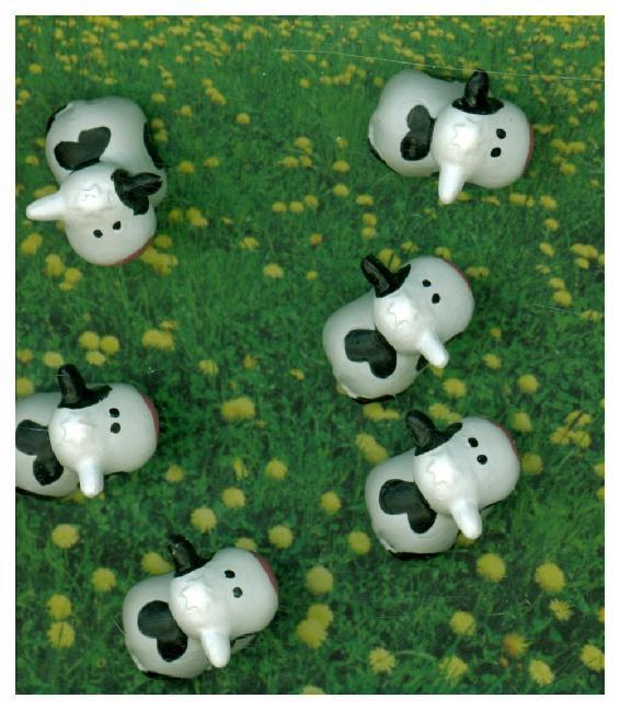 Produktbild Trendform Cow (6 x)