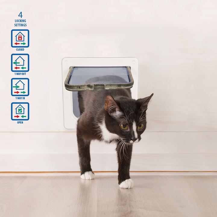 Actual product image EBI Cat flap + tunnel (Magnetic cat flap)