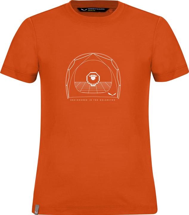 Salewa Kid's Graphic Dry S/S Tee (92)