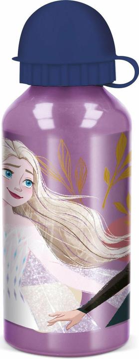 Image du produit pos Gourde Frozen 400ml (0.40 l)