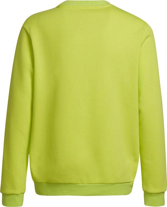 Actual product image adidas Entrada 22 sweatshirt kids (164)