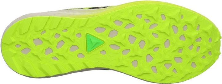 Image du produit ASICS Performance Fuji Lite 5 (43)