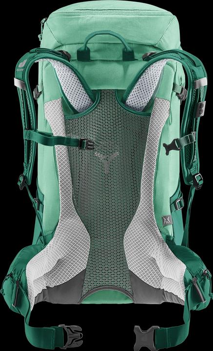 Actual product image Deuter Futura 30 (30 l)