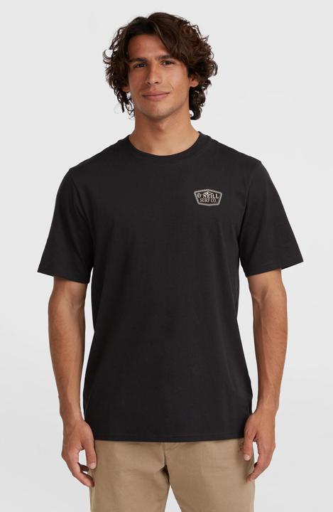 Actual product image O'Neill t-shirt sall chest print (M)