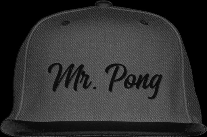 MrPong Beer Pong Snapback Cap Grey (One Size)