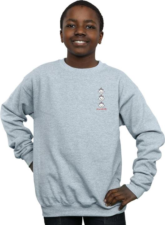 Actual product image Disney Boys Aristocats Marie Breast Print Sweatshirt (140, 146)