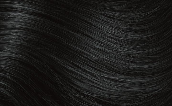 Produktbild Naturtint 2.1 negro azulado (2.1)