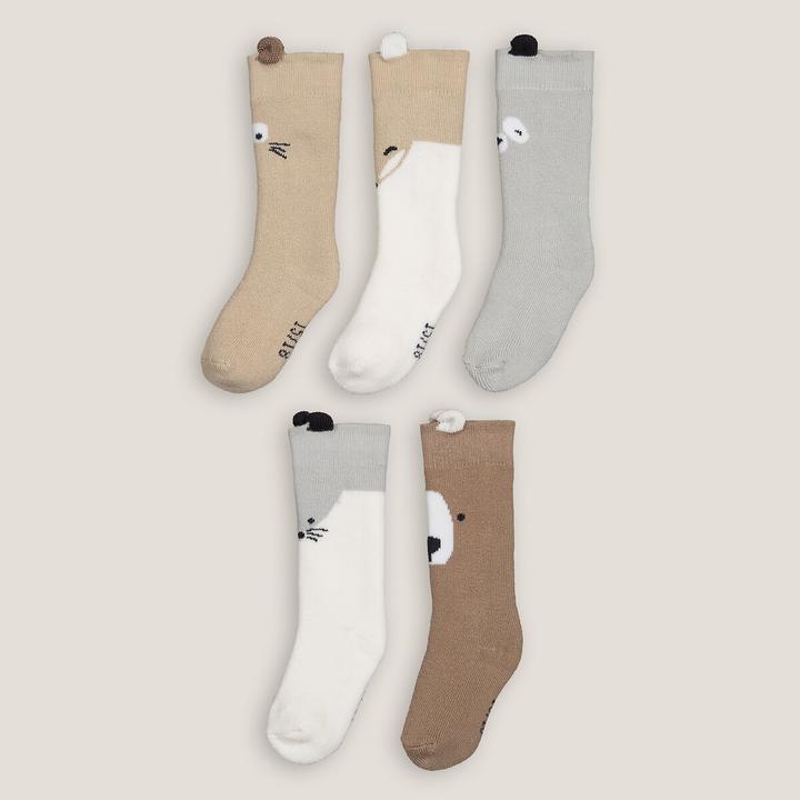 Produktbild La Redoute Collections 5 Paar Socken (5er Pack, 23 - 26)
