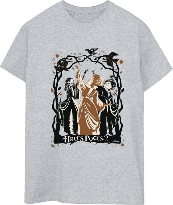 Produktbild Disney Hocus Pocus Birds TShirt (4XL)