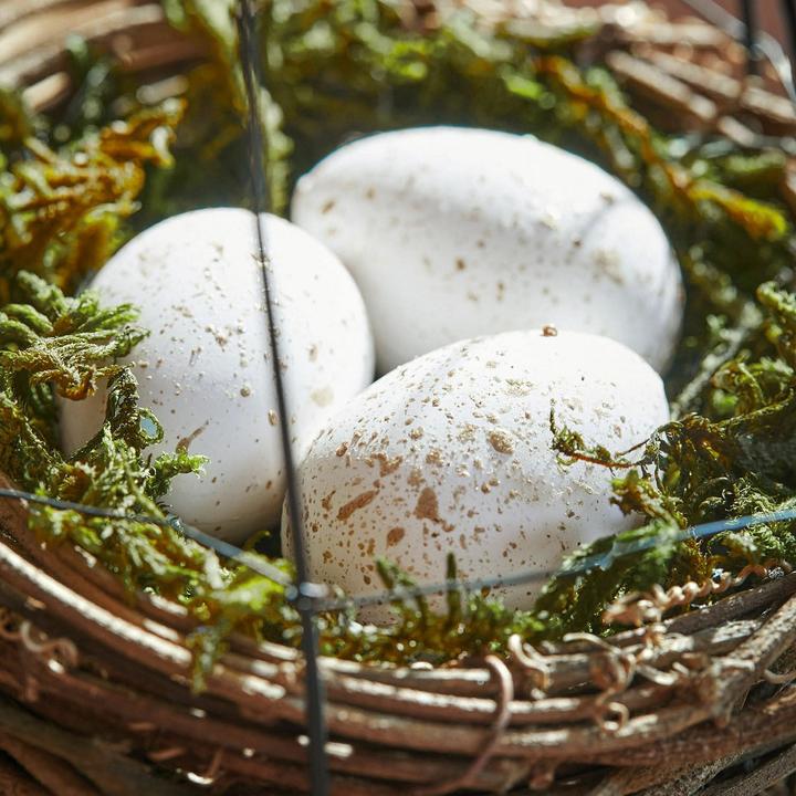 Actual product image Loberon Nest with eggs set of 4 Trista brown/white
