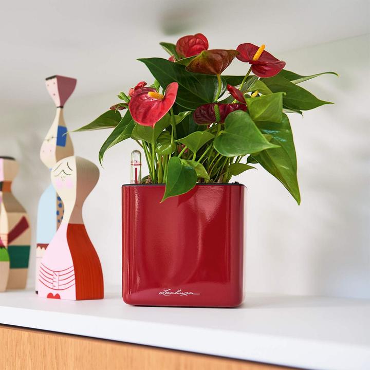 Image du produit Lechuza Pot de plante CUBE Titane brillant (14 cm)