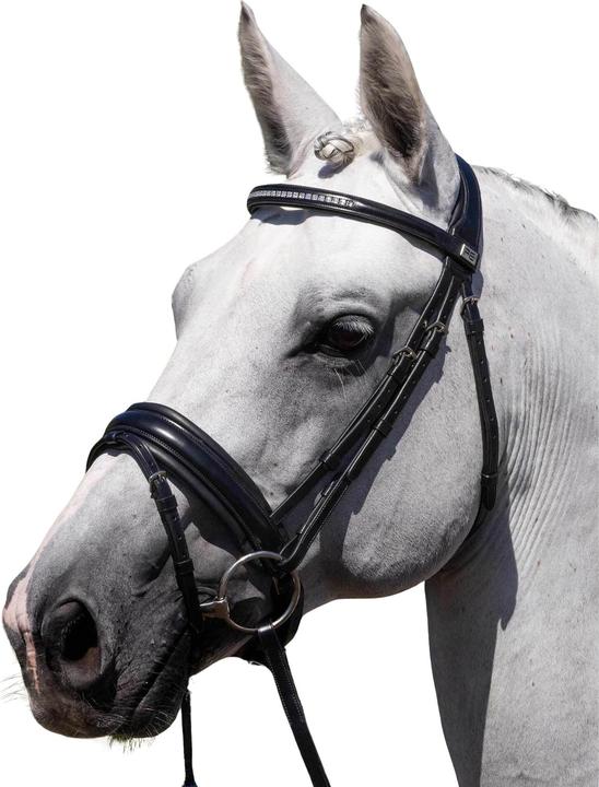 Actual product image Premier Equine Castello