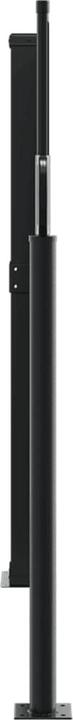Actual product image VidaXL Extendable side awning (6 m)