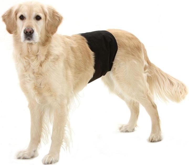 Actual product image Karlie Gentleman Wraps Plus (Dog)