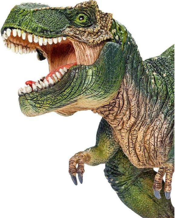 Actual product image Schleich Tyrannosaurus Rex