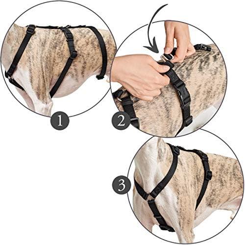Immagine prodotto Hunter Imbracatura di sicurezza Vario Rapid (48, 49, 50, 52, 54, 56, 58, 60, 62, 68, Cane, Generale)