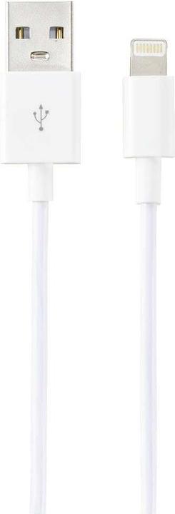 Actual product image Renkforce USB A — Lightning (3 m, USB 2.0)