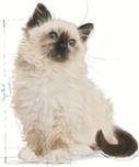 Produktbild Royal Canin Instinctive (Junior, 1 Stk., 85 g)
