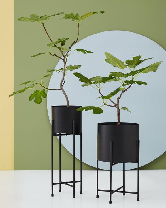Produktbild micasa Elea (31 cm)