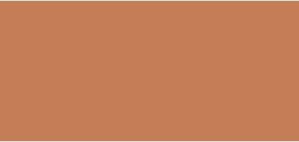 Actual product image Laura Mercier Tinted Moisturiser ( Oil Free Natura l Skin Perfector) 50 ml - Shade: 5W1 Tan (50 ml)