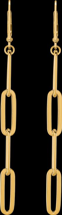 Actual product image Charles Garnier Gilded silver earrings