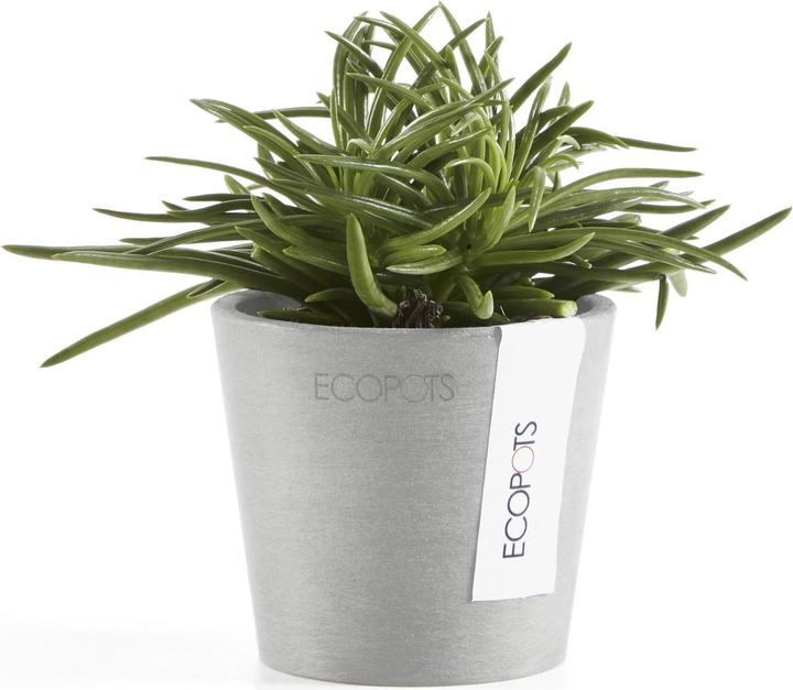 Image du produit Ecopots Amsterdam Mini (8 cm)
