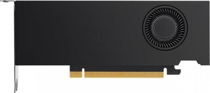 Actual product image PNY Quadro RTX A2000 (12 GB)