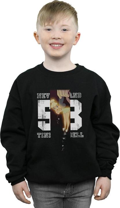 Image du produit Disney - Sweat TINKER BELL NEVERLAND - Garçon (152, 158)
