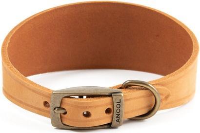 Actual product image Ancol Dog Collar Timberwolf Leather (34, 35, 36, 37, 38, 39, 40, 41, 42, 43, Dog, General)