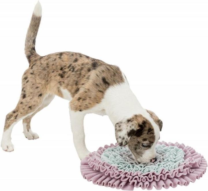 Produktbild Trixie Junior Schnüffelteppich (Futterspielzeug Hund)